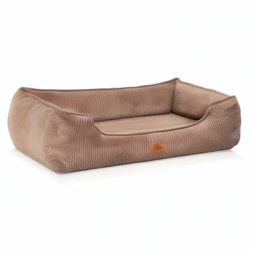 Hund genießt seinen Schlafplatz in einem gemütlichen Hundebett.