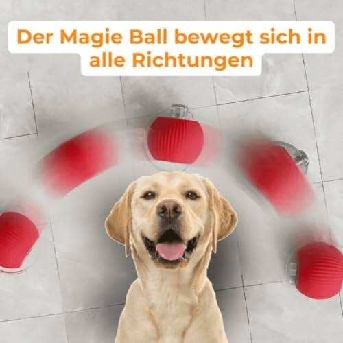 Hund mit rotem beweglichem Ball auf Fliesenboden.